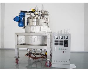 河南中试反应釜
