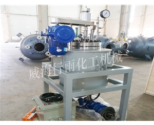 河南中试反应釜
