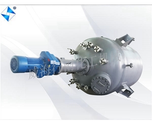 河南大型生产型反应釜