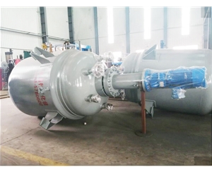 河南生产型反应釜
