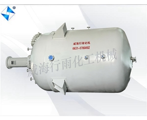 河南生产型反应釜