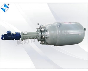 河南生产型反应釜