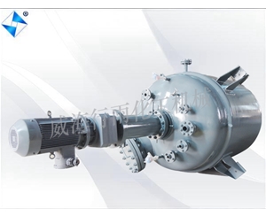 河南生产型反应釜