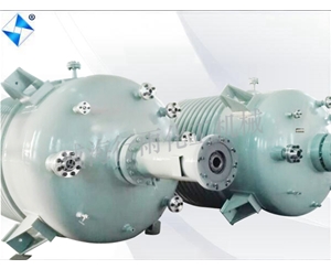 河南生产型反应釜