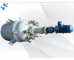 河南生产型反应釜